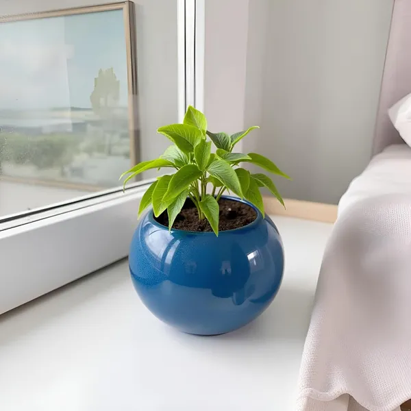 Peblo_Small_Blue_0_Ceramic_Pots_For_Indoor_Plants,_Planters,Gamla,Outdoor,Balcony,Home,Round,Garden,_Office_Decor,Succulent(H_-_7_X_D_-_9_Cm)