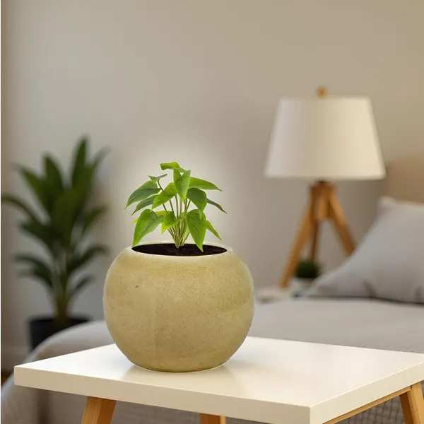 Peblo_Big_Brown__Ceramic_Pots_For_Indoor_Plants,_Planters,Gamla,Outdoor,Balcony,Home,Round,Garden,_Office_Decor,Succulent(H_-_8.5_X_D_-_11_Cm)