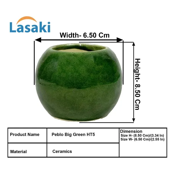Peblo_Big_Green_Ht5_Ceramic_Pots_For_Indoor_Plants,_Planters,Gamla,Outdoor,Balcony,Home,Round,Garden,_Office_Decor,Succulent(H_-_8.5_X_D_-_11_Cm)