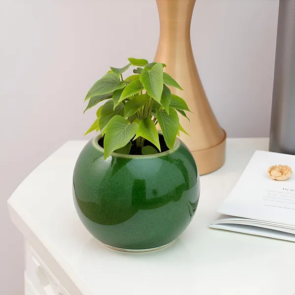 Peblo_Big_Green_Ht5_Ceramic_Pots_For_Indoor_Plants,_Planters,Gamla,Outdoor,Balcony,Home,Round,Garden,_Office_Decor,Succulent(H_-_8.5_X_D_-_11_Cm)