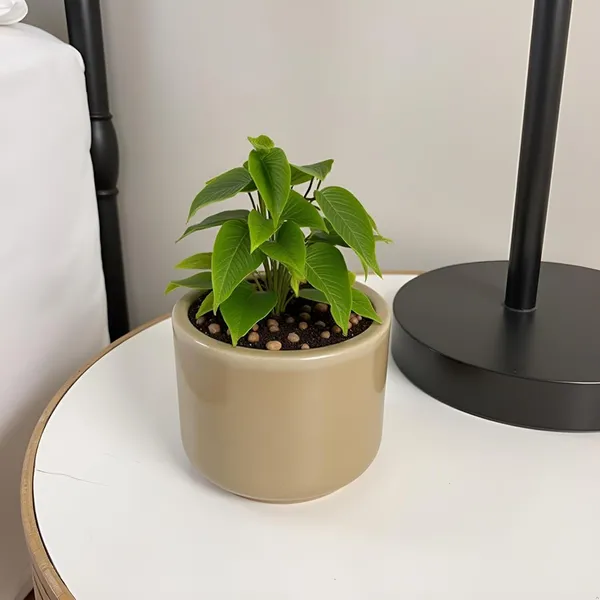 Orin_4.5D_Brown__Ceramic_Pots_For_Indoor_Plants,_Planters,Gamla,Outdoor,Balcony,Home,Round,Garden,_Office_Decor,Succulent(H_-_10_X_D_-_11_Cm)