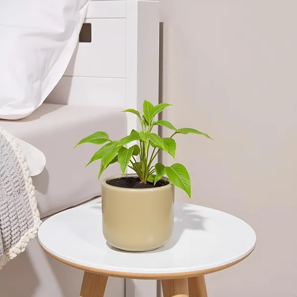 Orin_4.5D_Brown__Ceramic_Pots_For_Indoor_Plants,_Planters,Gamla,Outdoor,Balcony,Home,Round,Garden,_Office_Decor,Succulent(H_-_10_X_D_-_11_Cm)