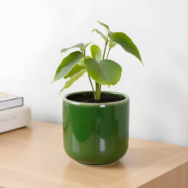 Orin_4.5D_Green_Ht5_Ceramic_Pots_For_Indoor_Plants,_Planters,Gamla,Outdoor,Balcony,Home,Round,Garden,_Office_Decor,Succulent(H_-_10_X_D_-_11_Cm)