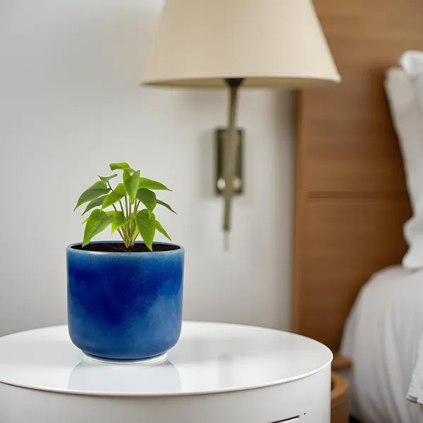 Orin_4.5D_Blue_0_Ceramic_Pots_For_Indoor_Plants,_Planters,Gamla,Outdoor,Balcony,Home,Round,Garden,_Office_Decor,Succulent(H_-_10_X_D_-_11_Cm)