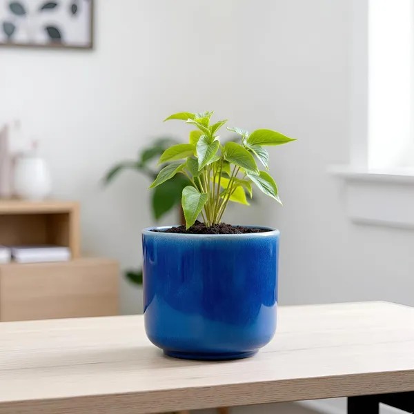 Orin_4.5D_Blue_0_Ceramic_Pots_For_Indoor_Plants,_Planters,Gamla,Outdoor,Balcony,Home,Round,Garden,_Office_Decor,Succulent(H_-_10_X_D_-_11_Cm)