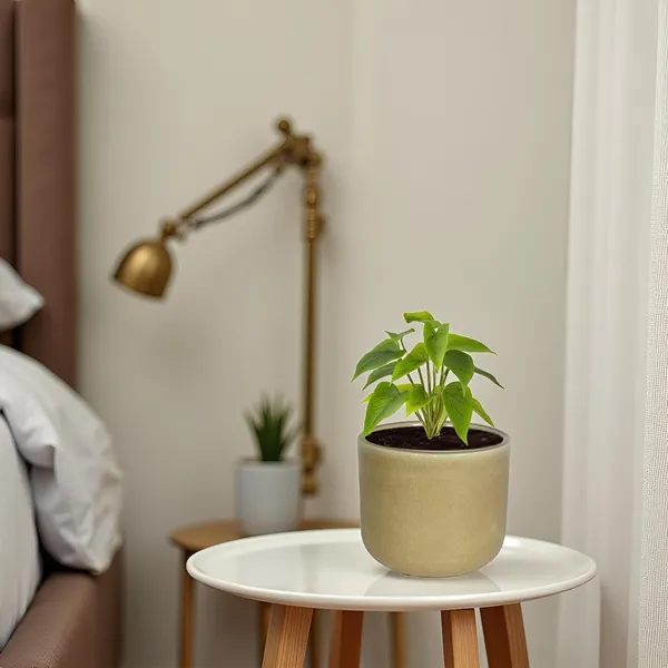 Orin_5D_Brown__Ceramic_Pots_For_Indoor_Plants,_Planters,Gamla,Outdoor,Balcony,Home,Round,Garden,_Office_Decor,Succulent(H_-_11.5_X_D_-_13_Cm)