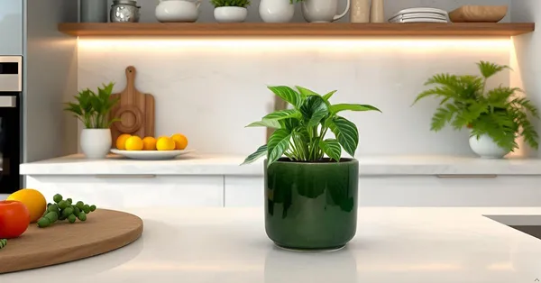 Orin_5D_Green_Ht5_Ceramic_Pots_For_Indoor_Plants,_Planters,Gamla,Outdoor,Balcony,Home,Round,Garden,_Office_Decor,Succulent(H_-_11.5_X_D_-_13_Cm)