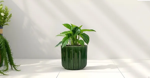 Flona_Green_Ht5_Ceramic_Pots_For_Indoor_Plants,_Planters,Gamla,Outdoor,Balcony,Home,Round,Garden,_Office_Decor,Succulent(H_-_11.5_X_D_-_12.5_Cm)