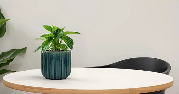 Flona_Blue_0_Ceramic_Pots_For_Indoor_Plants,_Planters,Gamla,Outdoor,Balcony,Home,Round,Garden,_Office_Decor,Succulent(H_-_11.5_X_D_-_12.5_Cm)