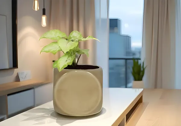 Aero_Brown__Ceramic_Pots_For_Indoor_Plants,_Planters,Gamla,Outdoor,Balcony,Home,Round,Garden,_Office_Decor,Succulent(L-9_X_W_-_9_X_H_-_9_Cm)