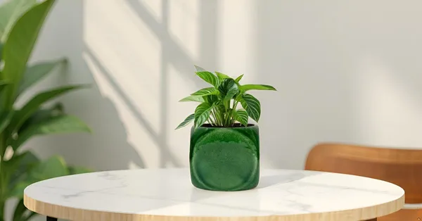 Aero_Green_Ht5_Ceramic_Pots_For_Indoor_Plants,_Planters,Gamla,Outdoor,Balcony,Home,Round,Garden,_Office_Decor,Succulent(L-9_X_W_-_9_X_H_-_9_Cm)