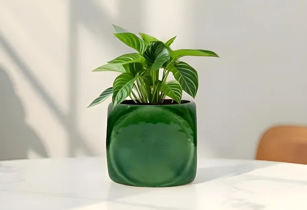 Aero_Green_Ht5_Ceramic_Pots_For_Indoor_Plants,_Planters,Gamla,Outdoor,Balcony,Home,Round,Garden,_Office_Decor,Succulent(L-9_X_W_-_9_X_H_-_9_Cm)