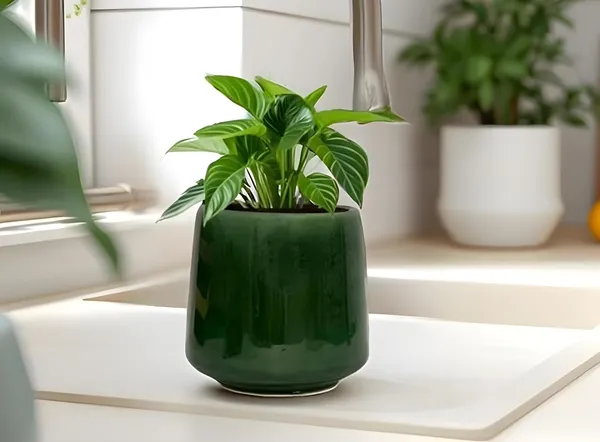 Clara_Green_Ht5_Ceramic_Pots_For_Indoor_Plants,_Planters,Gamla,Outdoor,Balcony,Home,Round,Garden,_Office_Decor,Succulent(H_-_12.5_X_D_-_12.5_Cm)