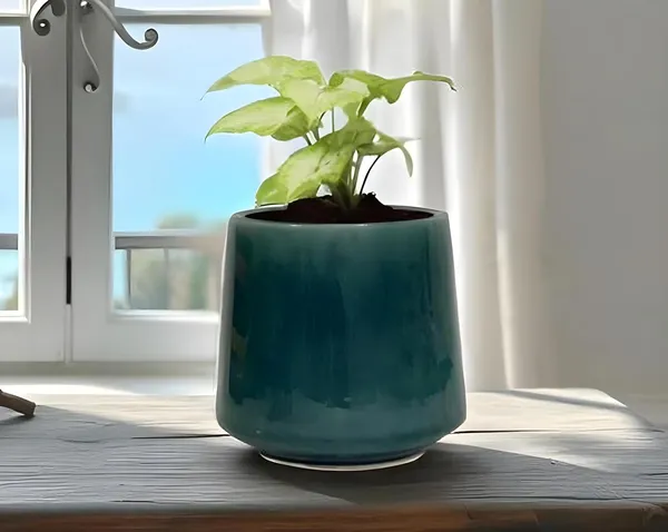 Clara_Blue_0_Ceramic_Pots_For_Indoor_Plants,_Planters,Gamla,Outdoor,Balcony,Home,Round,Garden,_Office_Decor,Succulent(H_-_12.5_X_D_-_12.5_Cm)