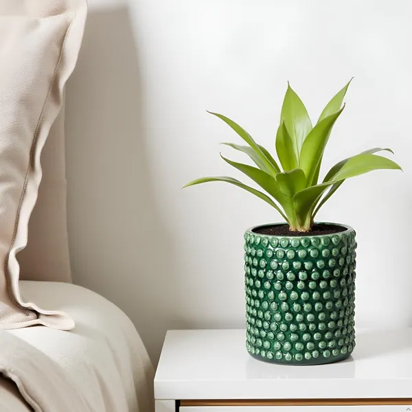 Bubble_Big_Green_Ht5_Ceramic_Pots_For_Indoor_Plants,_Planters,Gamla,Outdoor,Balcony,Home,Round,Garden,_Office_Decor,Succulent(H_-_15_X_D_-_13_Cm)
