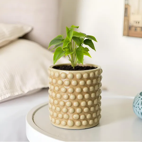 Bubble_Small_Brown__Ceramic_Pots_For_Indoor_Plants,_Planters,Gamla,Outdoor,Balcony,Home,Round,Garden,_Office_Decor,Succulent(H_-_10_X_D_-_10_Cm)
