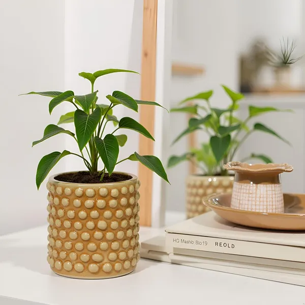 Bubble_Small_Brown__Ceramic_Pots_For_Indoor_Plants,_Planters,Gamla,Outdoor,Balcony,Home,Round,Garden,_Office_Decor,Succulent(H_-_10_X_D_-_10_Cm)
