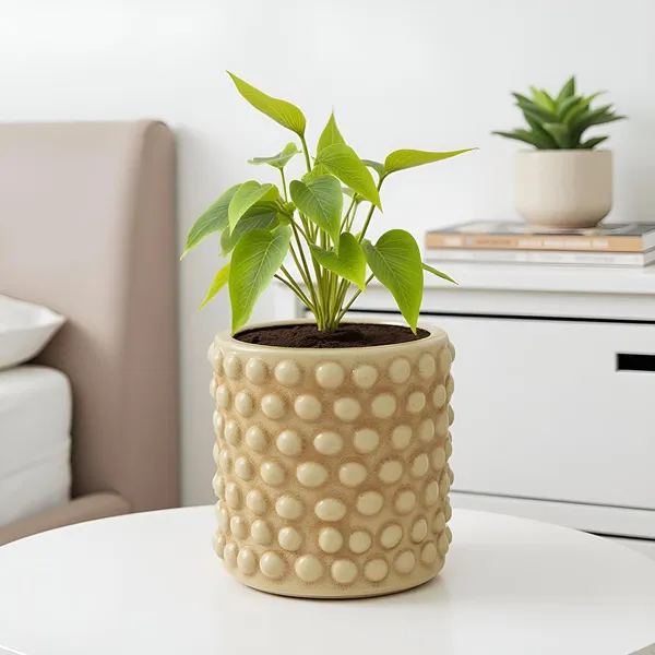 Bubble_Small_Brown__Ceramic_Pots_For_Indoor_Plants,_Planters,Gamla,Outdoor,Balcony,Home,Round,Garden,_Office_Decor,Succulent(H_-_10_X_D_-_10_Cm)