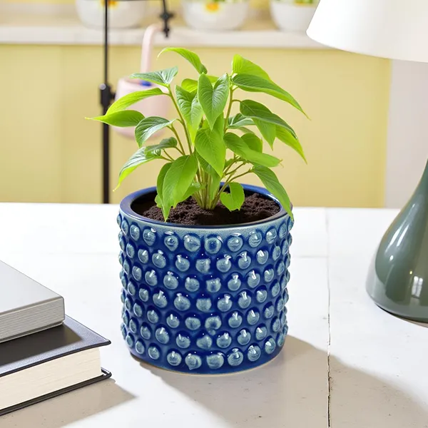 Bubble_Small_Blue_0_Ceramic_Pots_For_Indoor_Plants,_Planters,Gamla,Outdoor,Balcony,Home,Round,Garden,_Office_Decor,Succulent(H_-_10_X_D_-_10_Cm)