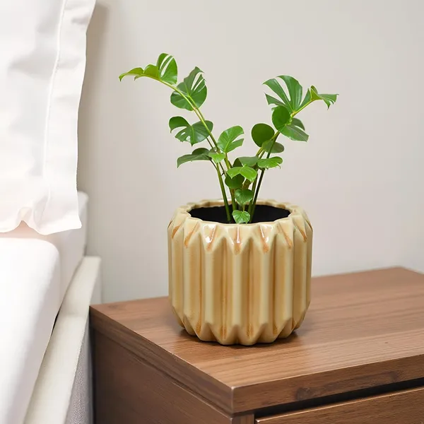 Kavira_Brown__Ceramic_Pots_For_Indoor_Plants,_Planters,Gamla,Outdoor,Balcony,Home,Round,Garden,_Office_Decor,Succulent(H_-_11_X_D_-_12_Cm)