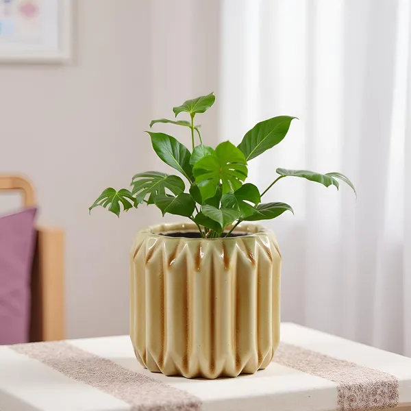 Kavira_Brown__Ceramic_Pots_For_Indoor_Plants,_Planters,Gamla,Outdoor,Balcony,Home,Round,Garden,_Office_Decor,Succulent(H_-_11_X_D_-_12_Cm)