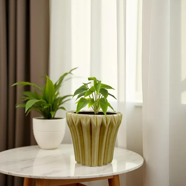 Flory_Brown__Ceramic_Pots_For_Indoor_Plants,_Planters,Gamla,Outdoor,Balcony,Home,Round,Garden,_Office_Decor,Succulent(H_-_14_X_D_-_15_Cm)