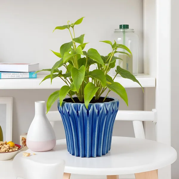 Flory_Blue_0_Ceramic_Pots_For_Indoor_Plants,_Planters,Gamla,Outdoor,Balcony,Home,Round,Garden,_Office_Decor,Succulent(H_-_14_X_D_-_15_Cm)