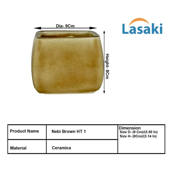 Nebi_Brown__Ceramic_Pots_For_Indoor_Plants,_Planters,Gamla,Outdoor,Balcony,Home,Round,Garden,_Office_Decor,Succulent(L_-_9.5_X_W_-_9.5_X_H_-_8_Cm)