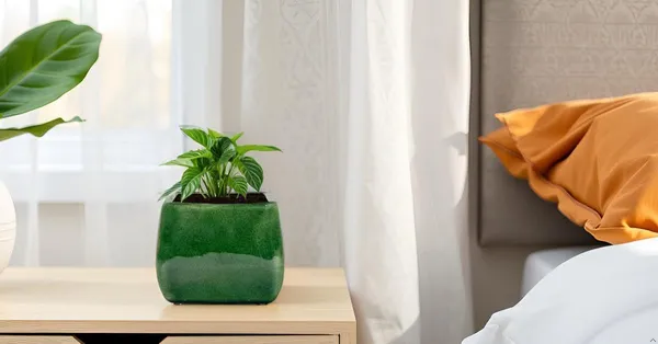 Nebi_Green_Ht5_Ceramic_Pots_For_Indoor_Plants,_Planters,Gamla,Outdoor,Balcony,Home,Round,Garden,_Office_Decor,Succulent(L_-_9.5_X_W_-_9.5_X_H_-_8_Cm)