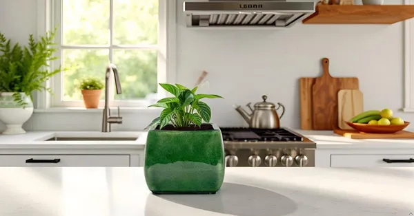 Nebi_Green_Ht5_Ceramic_Pots_For_Indoor_Plants,_Planters,Gamla,Outdoor,Balcony,Home,Round,Garden,_Office_Decor,Succulent(L_-_9.5_X_W_-_9.5_X_H_-_8_Cm)