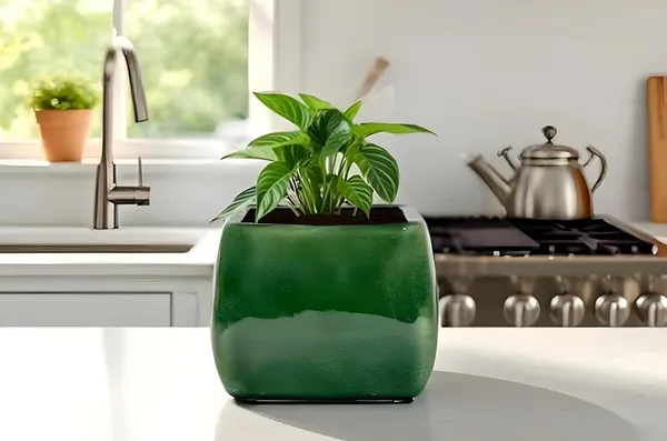 Nebi_Green_Ht5_Ceramic_Pots_For_Indoor_Plants,_Planters,Gamla,Outdoor,Balcony,Home,Round,Garden,_Office_Decor,Succulent(L_-_9.5_X_W_-_9.5_X_H_-_8_Cm)
