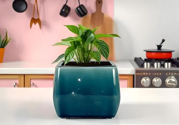 Nebi_Blue_0_Ceramic_Pots_For_Indoor_Plants,_Planters,Gamla,Outdoor,Balcony,Home,Round,Garden,_Office_Decor,Succulent(L_-_9.5_X_W_-_9.5_X_H_-_8_Cm)