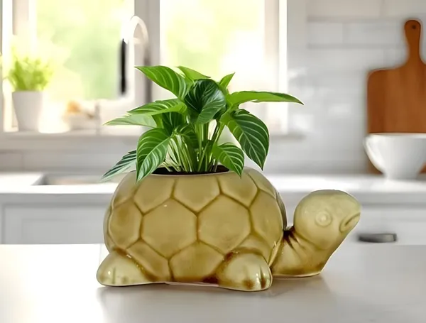 Tortoise_Brown__Ceramic_Pots_For_Indoor_Plants,_Planters,Gamla,Outdoor,Balcony,Home,Round,Garden,_Office_Decor,Succulent(L_-_19.5_X_W_-_13.5_X_H_-_7_Cm)