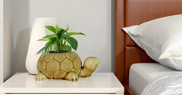 Tortoise_Brown__Ceramic_Pots_For_Indoor_Plants,_Planters,Gamla,Outdoor,Balcony,Home,Round,Garden,_Office_Decor,Succulent(L_-_19.5_X_W_-_13.5_X_H_-_7_Cm)