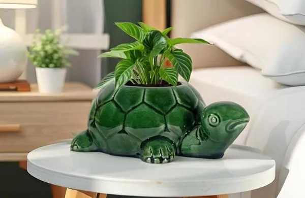 Tortoise_Green_Ht5_Ceramic_Pots_For_Indoor_Plants,_Planters,Gamla,Outdoor,Balcony,Home,Round,Garden,_Office_Decor,Succulent(L_-_19.5_X_W_-_13.5_X_H_-_7_Cm)
