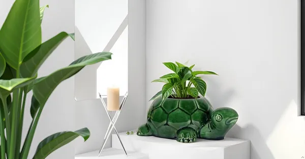 Tortoise_Green_Ht5_Ceramic_Pots_For_Indoor_Plants,_Planters,Gamla,Outdoor,Balcony,Home,Round,Garden,_Office_Decor,Succulent(L_-_19.5_X_W_-_13.5_X_H_-_7_Cm)