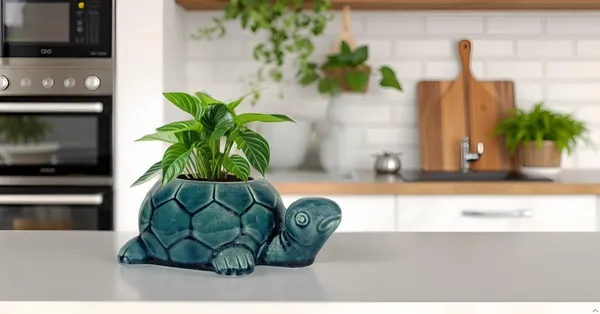 Tortoise_Blue_0_Ceramic_Pots_For_Indoor_Plants,_Planters,Gamla,Outdoor,Balcony,Home,Round,Garden,_Office_Decor,Succulent(L_-_19.5_X_W_-_13.5_X_H_-_7_Cm)