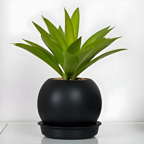 Peblo_Small_Black_With_Plate_R3_Black_Ceramic_Pots_For_Indoor_Plants,Planters,Flower,Gamla,Outdoor,Balcony,Home,Garden,Decor(Pot-H-7_X_D-9_Cm,Plate-H-1.5Xd-9.5Cm)
