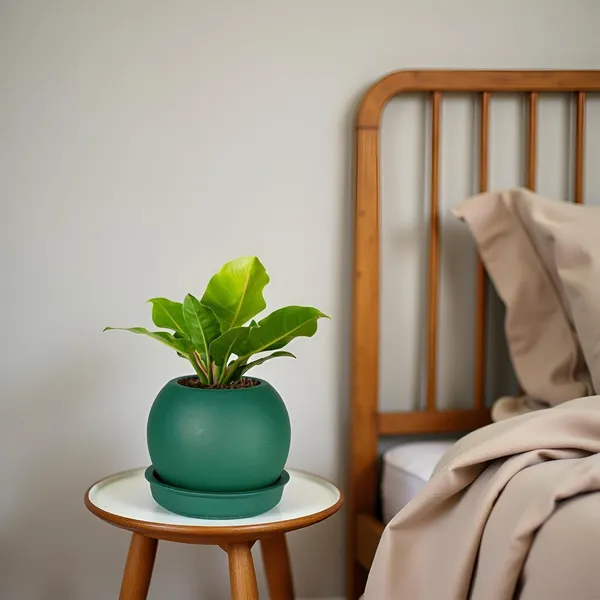Peblo_Small_Deep_Jungle_With_Plate_R3_Deep_Jungle_Ceramic_Pots_For_Indoor_Plants,Planters,Flower,Gamla,Outdoor,Balcony,Home,Garden(Pot-H-7_X_D-9_Cm,Plate-H-1.5Xd-9.5Cm)