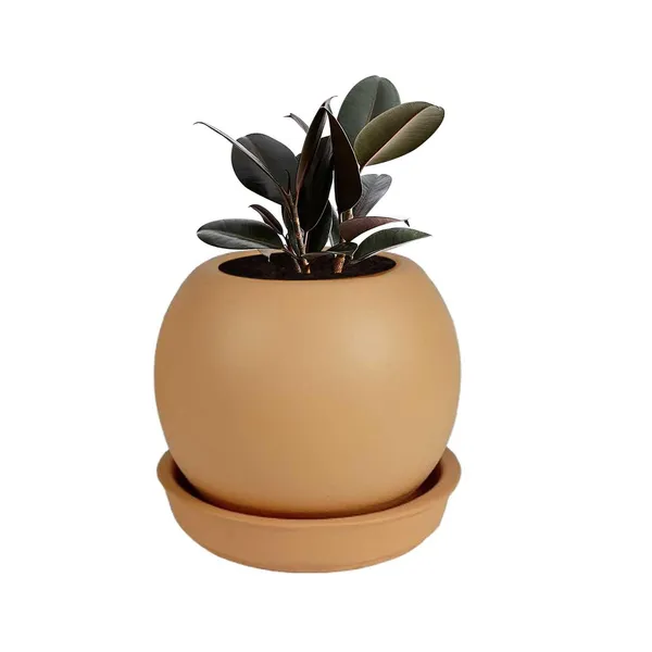 Peblo_Small_Ginger_With_Plate_R3_Ginger_Ceramic_Pots_For_Indoor_Plants,Planters,Flower,Gamla,Outdoor,Balcony,Home,Garden,Decor(Pot-H-7_X_D-9_Cm,Plate-H-1.5Xd-9.5Cm)