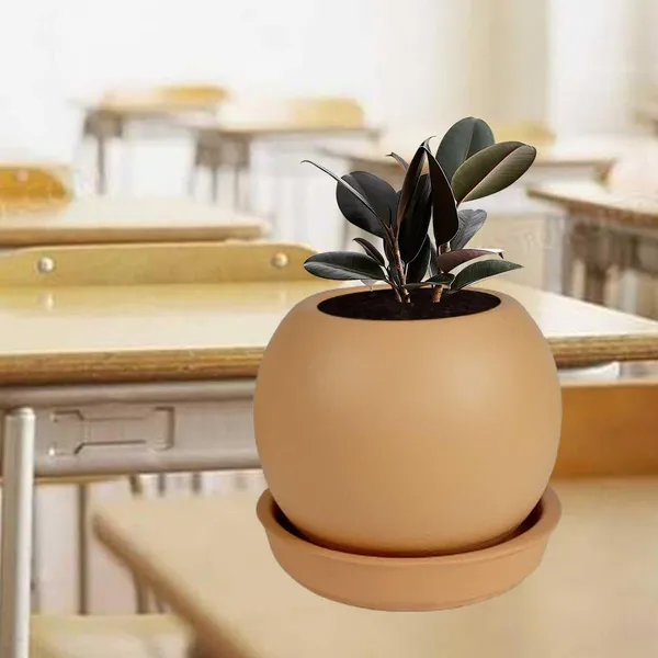 Peblo_Small_Ginger_With_Plate_R3_Ginger_Ceramic_Pots_For_Indoor_Plants,Planters,Flower,Gamla,Outdoor,Balcony,Home,Garden,Decor(Pot-H-7_X_D-9_Cm,Plate-H-1.5Xd-9.5Cm)