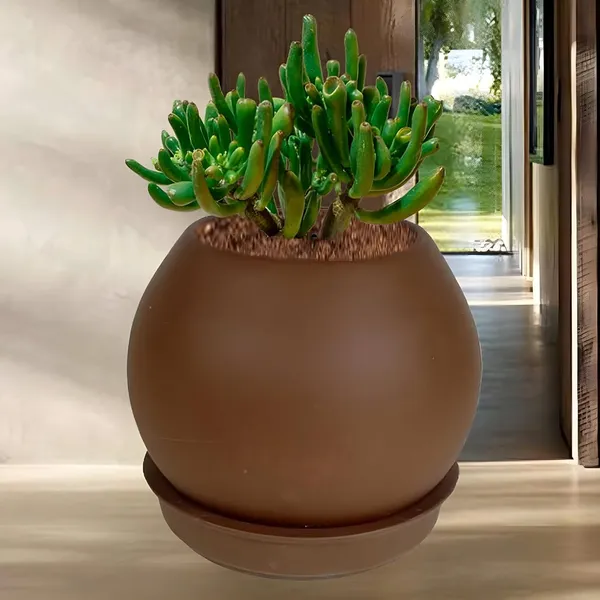 Peblo_Small_Truffle_With_Plate_R3_Truffle_Ceramic_Pots_For_Indoor_Plants,Planters,Flower,Gamla,Outdoor,Balcony,Home,Garden,Decor(Pot-H-7_X_D-9_Cm,Plate-H-1.5Xd-9.5Cm)