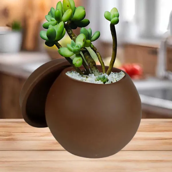 Peblo_Small_Truffle_With_Plate_R3_Truffle_Ceramic_Pots_For_Indoor_Plants,Planters,Flower,Gamla,Outdoor,Balcony,Home,Garden,Decor(Pot-H-7_X_D-9_Cm,Plate-H-1.5Xd-9.5Cm)