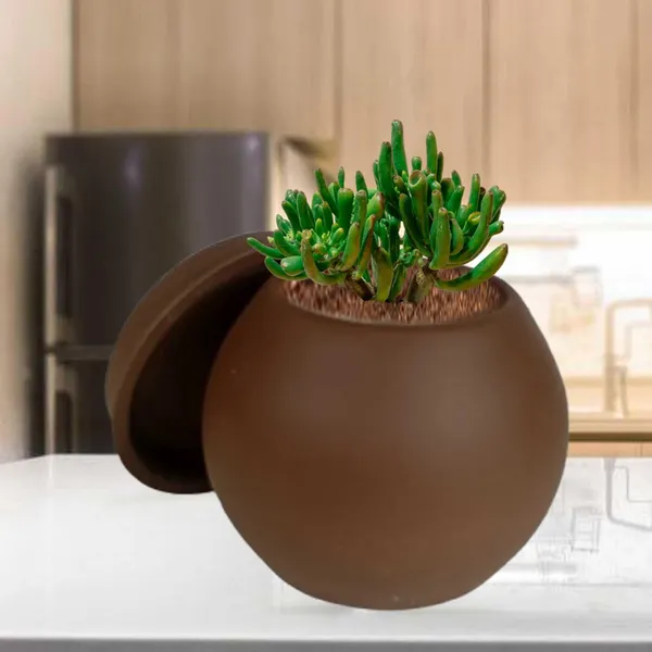 Peblo_Small_Truffle_With_Plate_R3_Truffle_Ceramic_Pots_For_Indoor_Plants,Planters,Flower,Gamla,Outdoor,Balcony,Home,Garden,Decor(Pot-H-7_X_D-9_Cm,Plate-H-1.5Xd-9.5Cm)