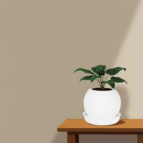 Peblo_Small_White_With_Plate_R3_White_Ceramic_Pots_For_Indoor_Plants,Planters,Flower,Gamla,Outdoor,Balcony,Home,Garden,Decor(Pot-H-7_X_D-9_Cm,Plate-H-1.5Xd-9.5Cm)