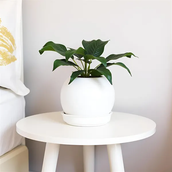 Peblo_Small_White_With_Plate_R3_White_Ceramic_Pots_For_Indoor_Plants,Planters,Flower,Gamla,Outdoor,Balcony,Home,Garden,Decor(Pot-H-7_X_D-9_Cm,Plate-H-1.5Xd-9.5Cm)