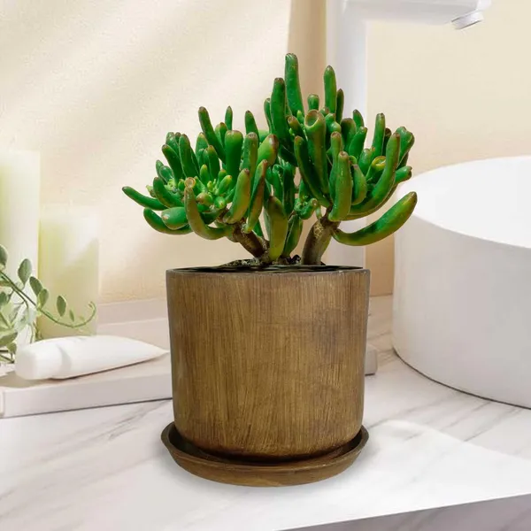 Orin_5D_Antique_With_Plate_R4_Antique_Ceramic_Pots_For_Indoor_Plants,Planters,Flower,Gamla,Outdoor,Balcony,Home,Garden,Decor(Pot-H-11.5_X_D-12.5_Cm,Plate-H-2Xd-13Cm)