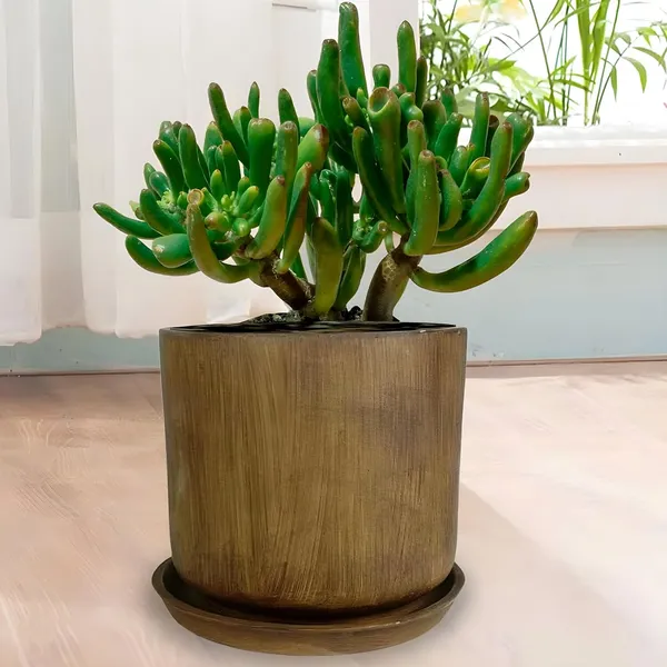 Orin_5D_Antique_With_Plate_R4_Antique_Ceramic_Pots_For_Indoor_Plants,Planters,Flower,Gamla,Outdoor,Balcony,Home,Garden,Decor(Pot-H-11.5_X_D-12.5_Cm,Plate-H-2Xd-13Cm)