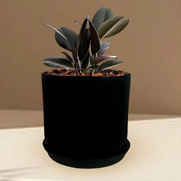 Orin_5D_Black_With_Plate_R4_Black_Ceramic_Pots_For_Indoor_Plants,Planters,Flower,Gamla,Outdoor,Balcony,Home,Garden,Decor(Pot-H-11.5_X_D-12.5_Cm,Plate-H-2Xd-13Cm)