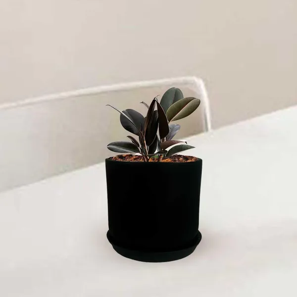 Orin_5D_Black_With_Plate_R4_Black_Ceramic_Pots_For_Indoor_Plants,Planters,Flower,Gamla,Outdoor,Balcony,Home,Garden,Decor(Pot-H-11.5_X_D-12.5_Cm,Plate-H-2Xd-13Cm)